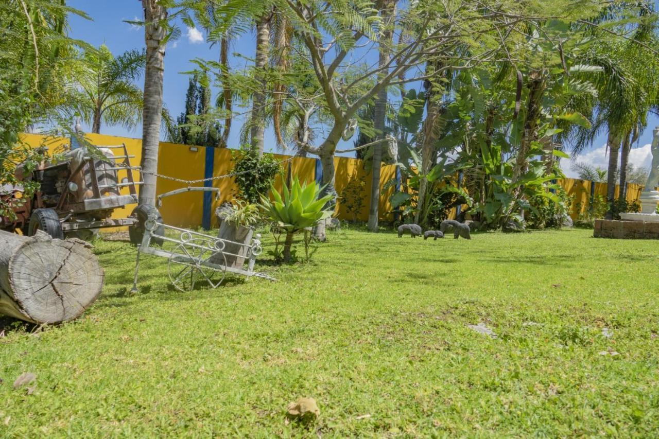 Hotel & Bungalows Las Palmas Villa Corona Ngoại thất bức ảnh
